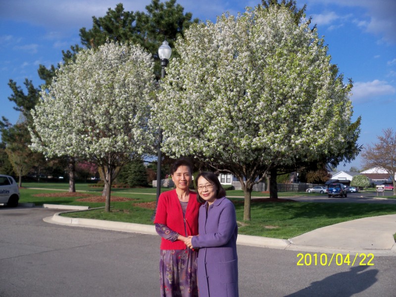 100_0385 [800x600].JPG